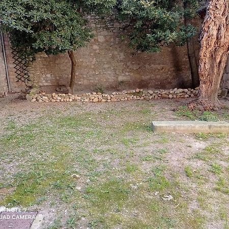 Loft Vue Palais Des Papes Apartment Avignon Ngoại thất bức ảnh